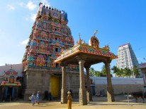 Saturday, 21 December 2013 15:07 
Chengalpattu, Tamil Nadu, India