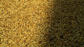 Sunday, 22 December 2013 10:41 
Madurai, Tamil Nadu, India