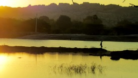 Monday, 23 December 2013 06:47 
Madurai, Tamil Nadu, India