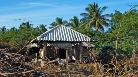 Monday, 23 December 2013 07:59 
K.Pudur, Madurai, Tamil Nadu, India