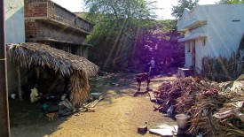 Monday, 23 December 2013 08:55 
Kosakulam, Madurai, Tamil Nadu, India