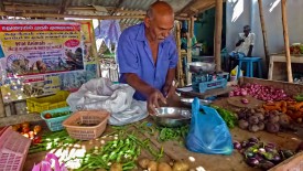 Tuesday, 24 December 2013 09:47 
Maranivariendhal, Tamil Nadu, India