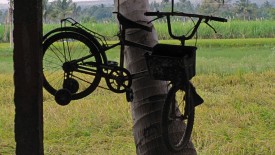 Tuesday, 24 December 2013 16:55 
Maranivariendhal, Tamil Nadu, India