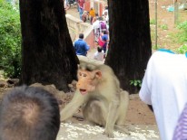 Wednesday, 25 December 2013 13:57 
Madurai, Tamil Nadu, India
