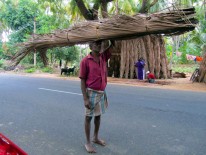 Wednesday, 25 December 2013 15:45 
Madurai, Tamil Nadu, India