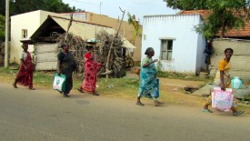 Saturday, 28 December 2013 14:27 
Chettikulam, Tamil Nadu, India
