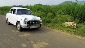 Saturday, 28 December 2013 15:05 
Chettikulam, Tamil Nadu, India