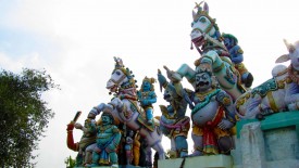 Saturday, 28 December 2013 15:45 
Chettikulam, Tamil Nadu, India