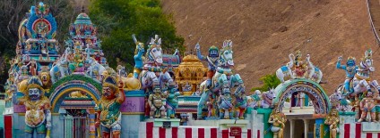 Saturday, 28 December 2013 15:54 
Chettikulam, Tamil Nadu, India