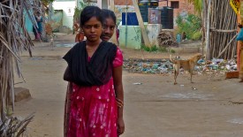 Saturday, 28 December 2013 16:47 
Chettikulam, Tamil Nadu, India